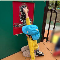 ブログ画像